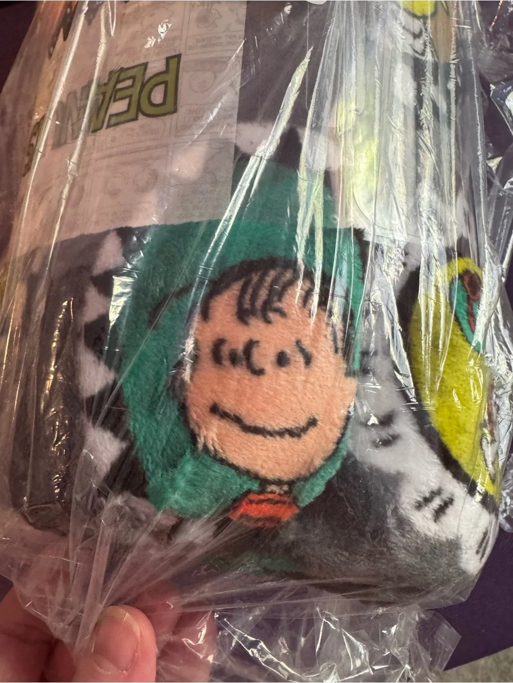 Peanuts Halloween Graphic oversized throw